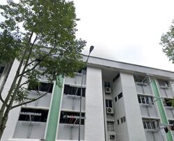Mayflower Shopping & Food Centre (D20), Shop House #451432521